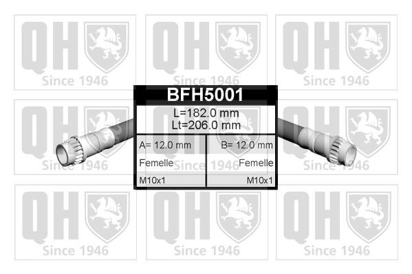 QUINTON HAZELL Тормозной шланг BFH5001